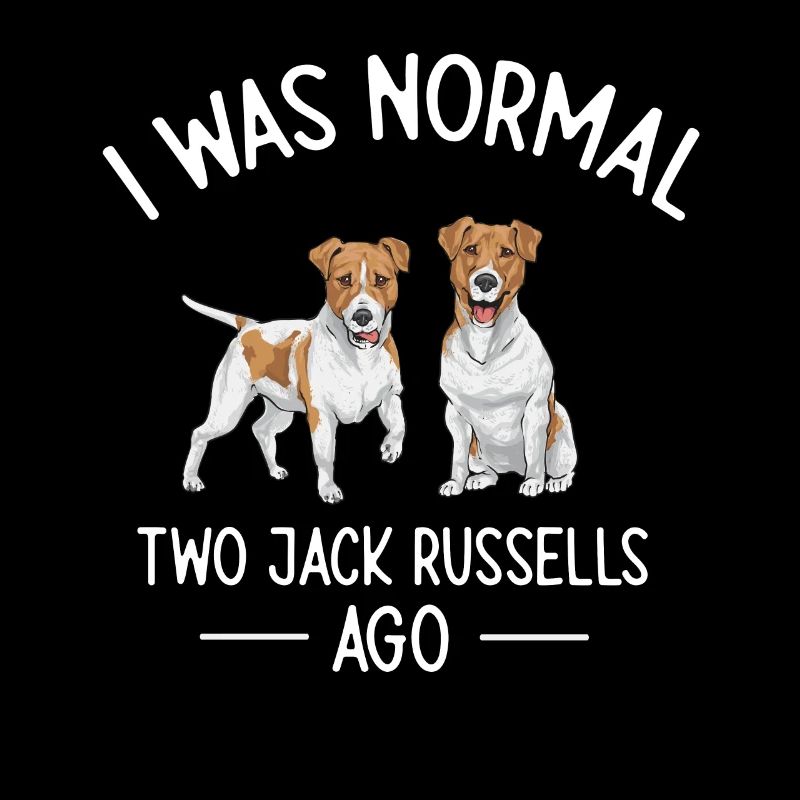 Jack Russell Terrier