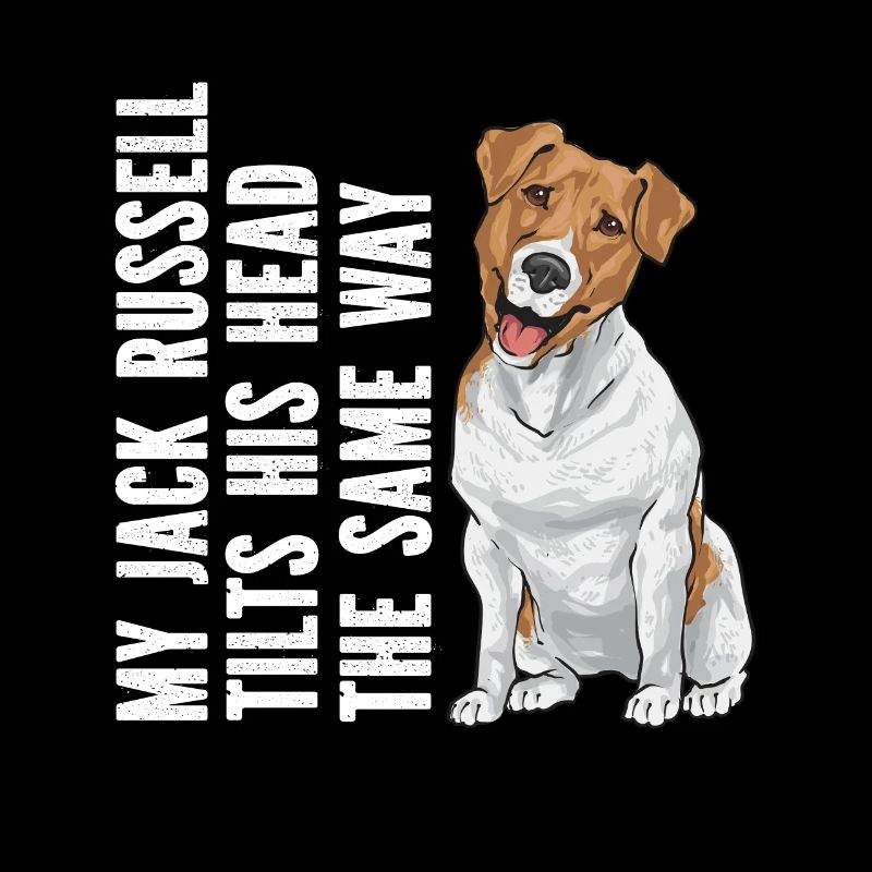 Jack Russell Terrier