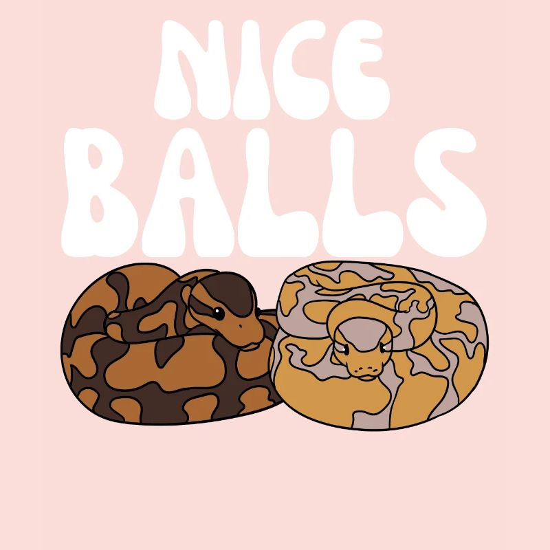 Kugelpython Schlange