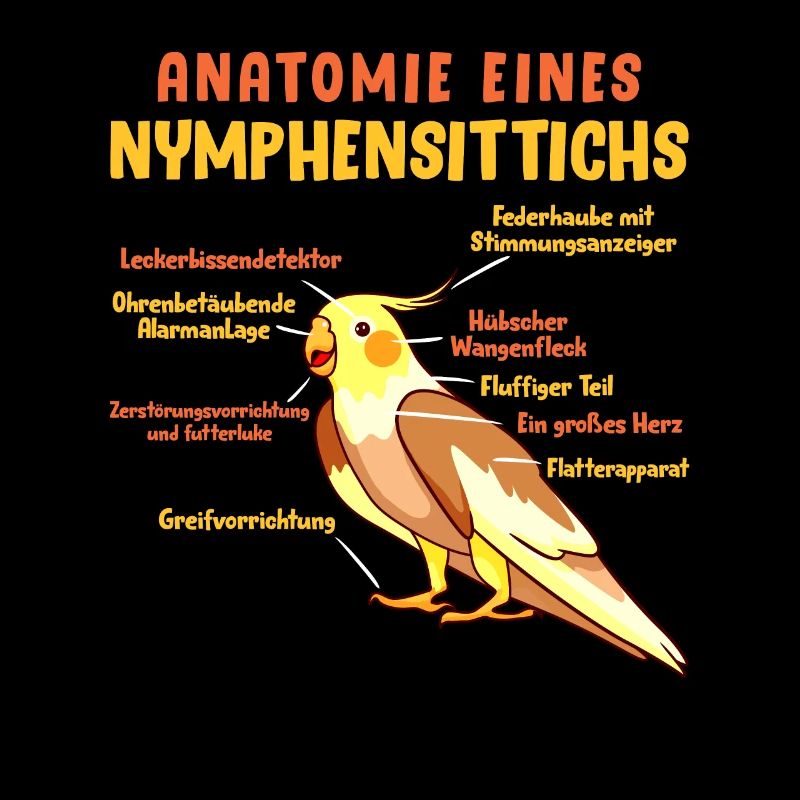 Anatomie eines Nymphensittichs Vogelfreund