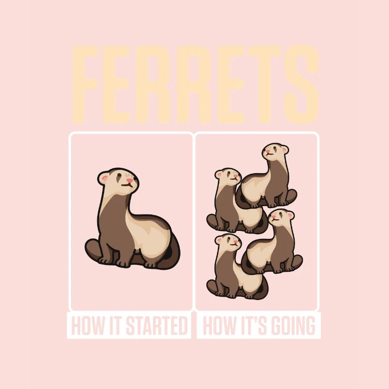Weasel Cute Ferrets How It Started How It's Going