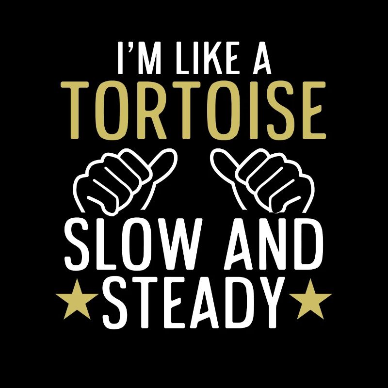 Funny I'm Like Tortoise Slow And Steady Turtle Rep