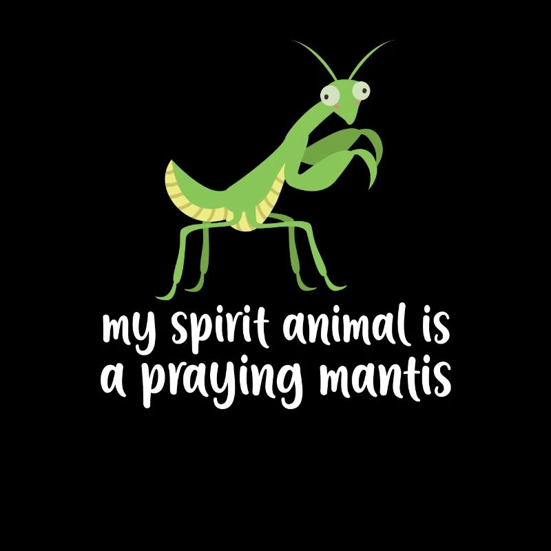 Praying Mantis Insect Pet Lovers