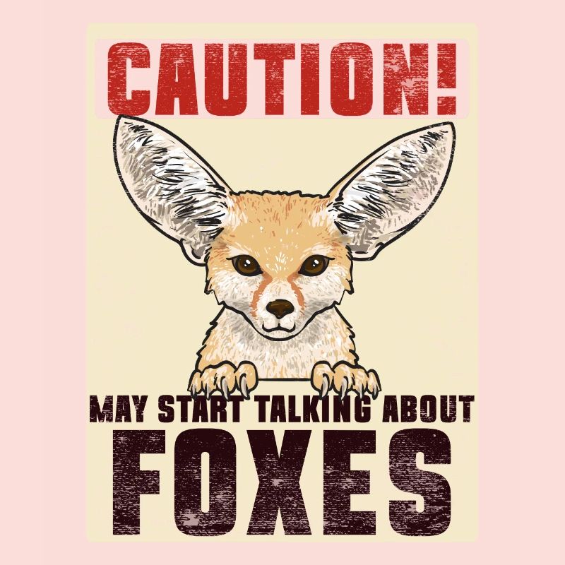 Fennek Fox Fennec Fox Desert Fox