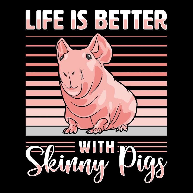 Cochon d’Inde sans poils Cochon maigre