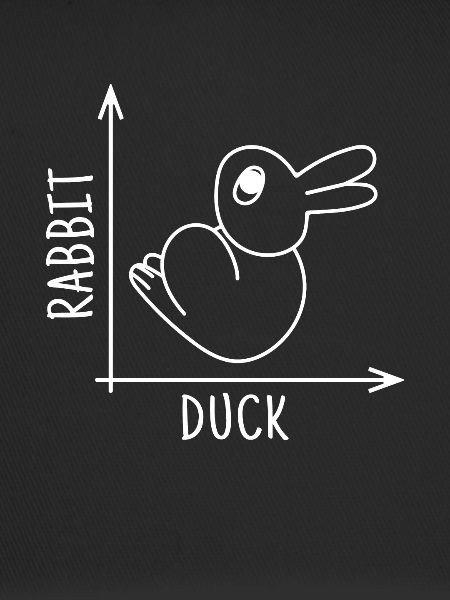 Rabbit Duck Illusion