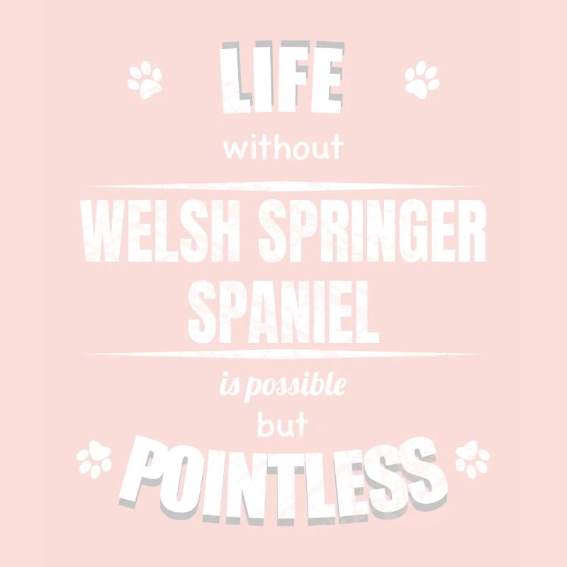 La vie possible inutile - Welsh Springer Spaniel