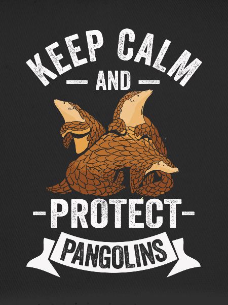 Protect pangolin owners,