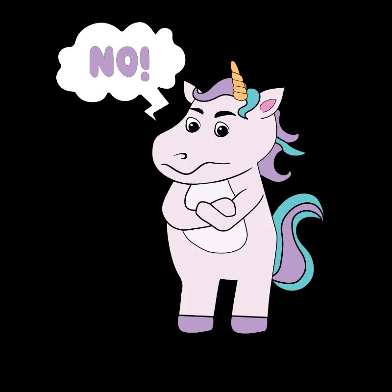Statement Einhorn Lustiger sarkastischer Spruch NO