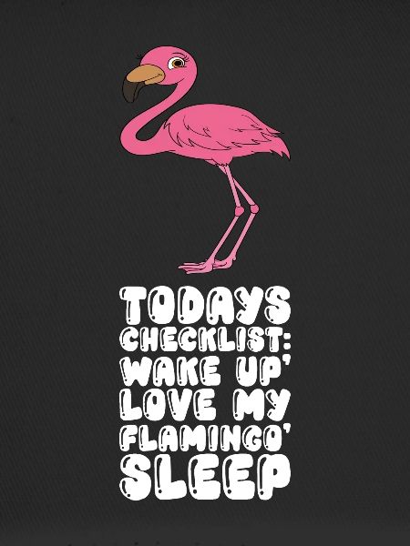 Funny flamingo