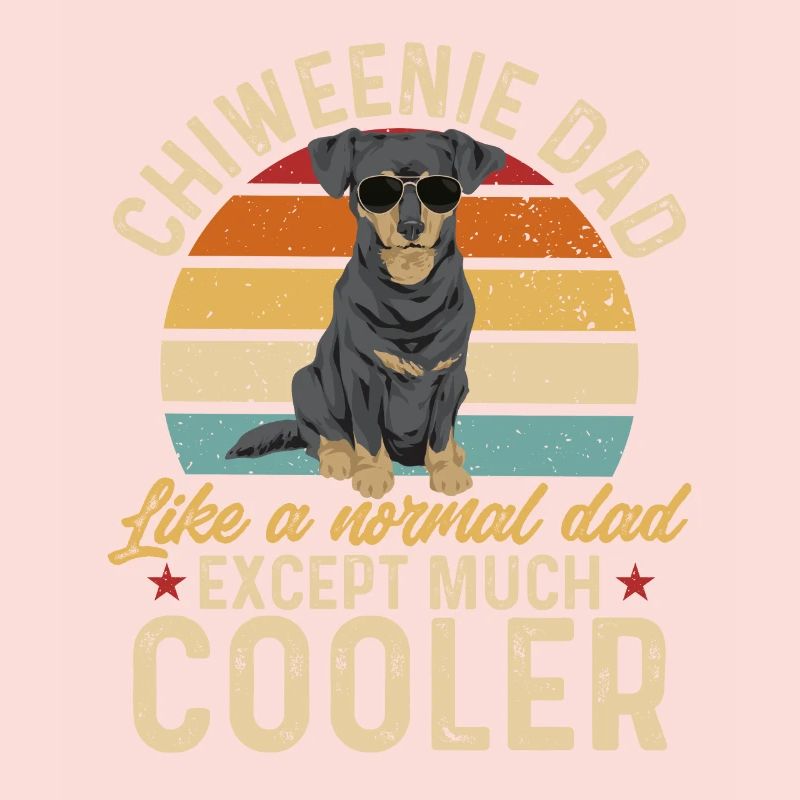 Chiweenie Dog