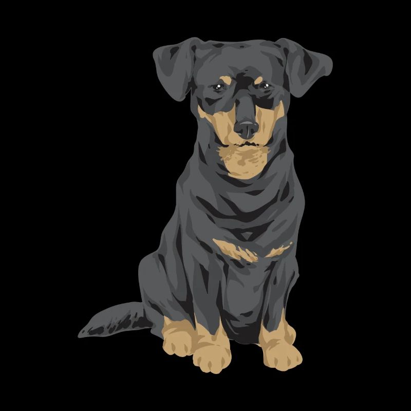 Chiweenie Dog