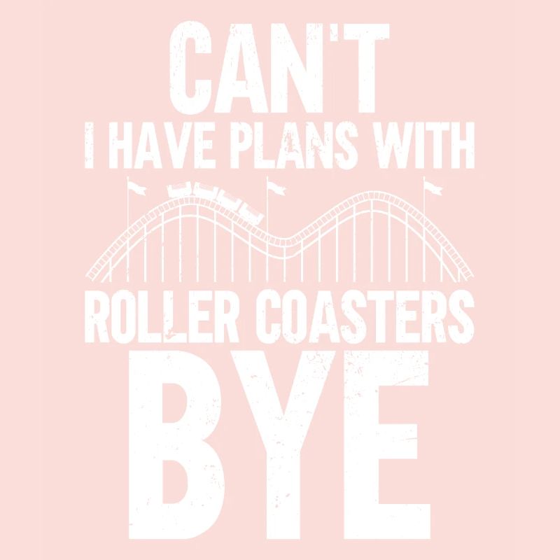 Roller Coaster Amusement Park Roller Coaster Ride