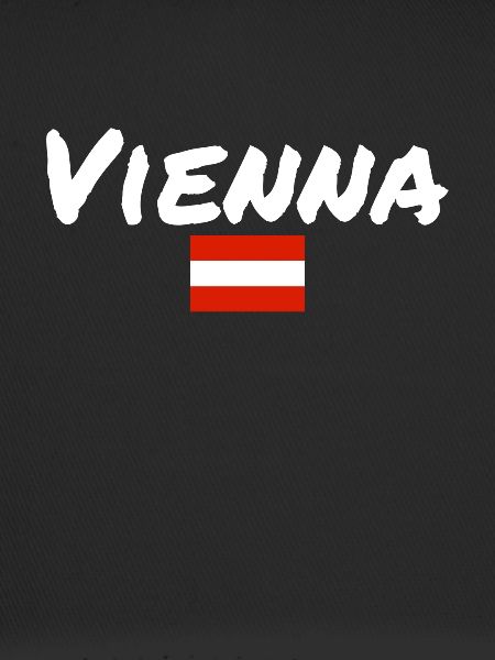 Vienna Austria Austrian Flag