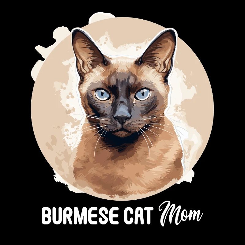 Burmese Cat Burma Katze