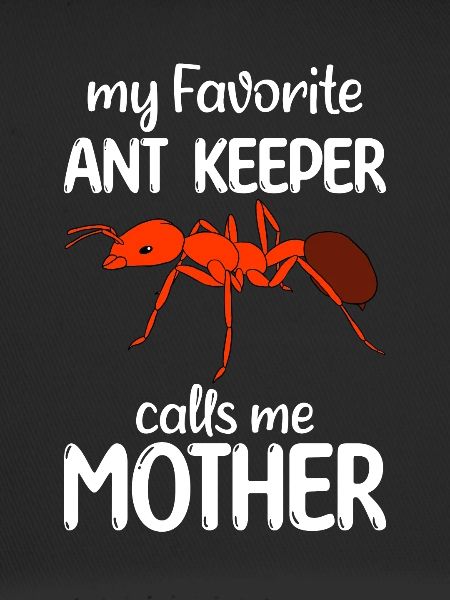 Antkeeping Ant Breeding Ants