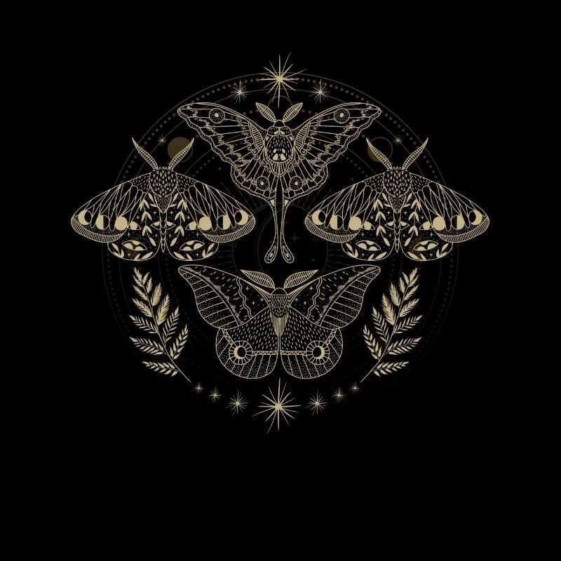 Moth Goth Moth Mystical