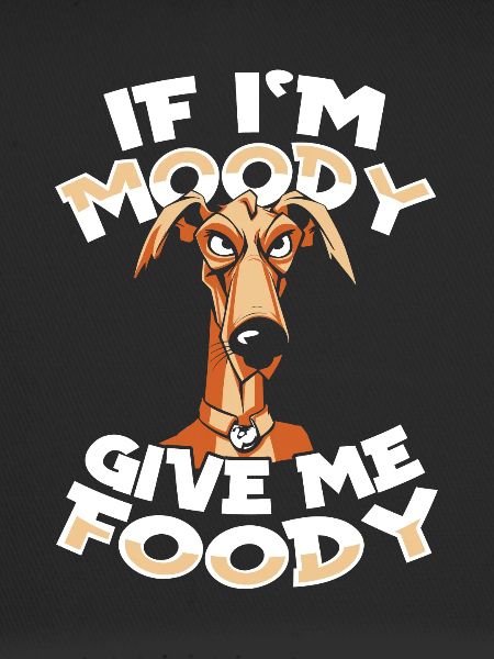 Greyhound Greyhound Funny