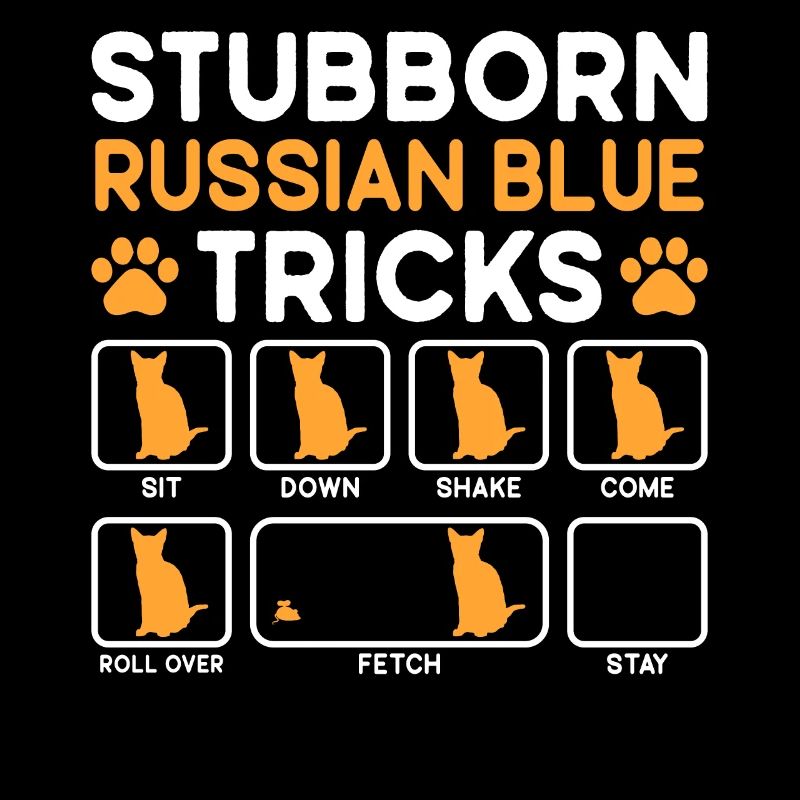 Stubborn Tricks Russian Blue Cat