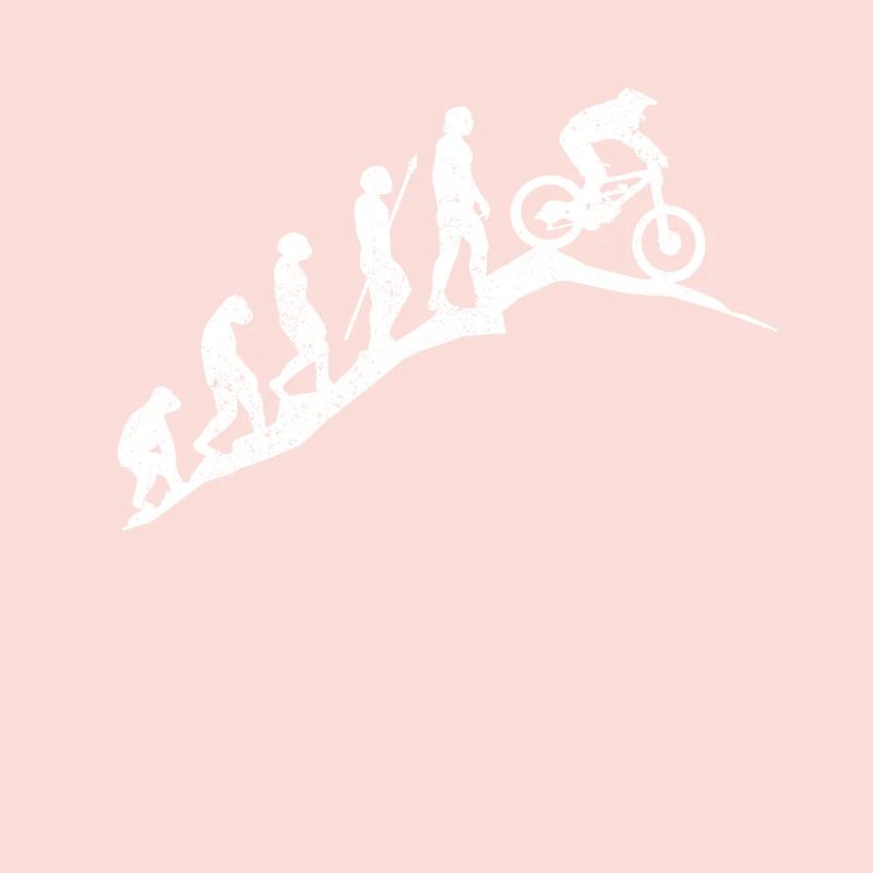 Mountainbike MTB Evolution Geschenk