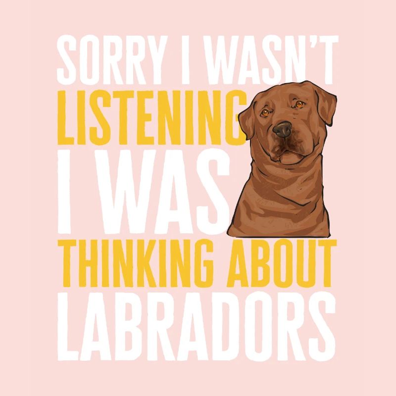 Foxred Labrador Fuchsroter Labrador Retriever