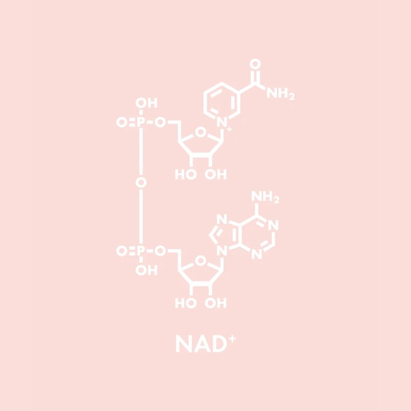 NAD+ Formule chimique