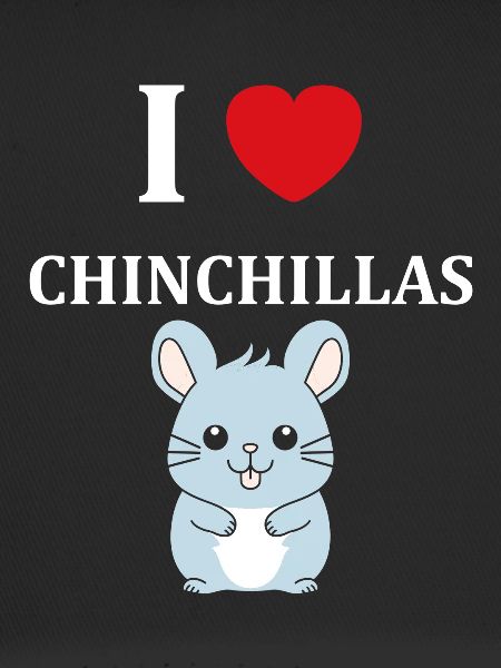 Petit chinchilla mignon