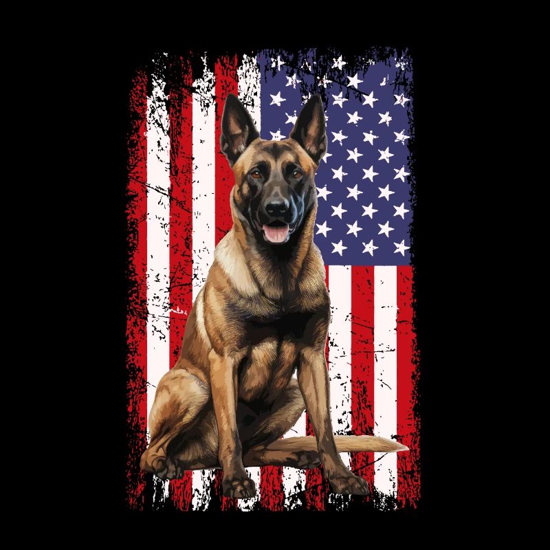 Belgian Malinois