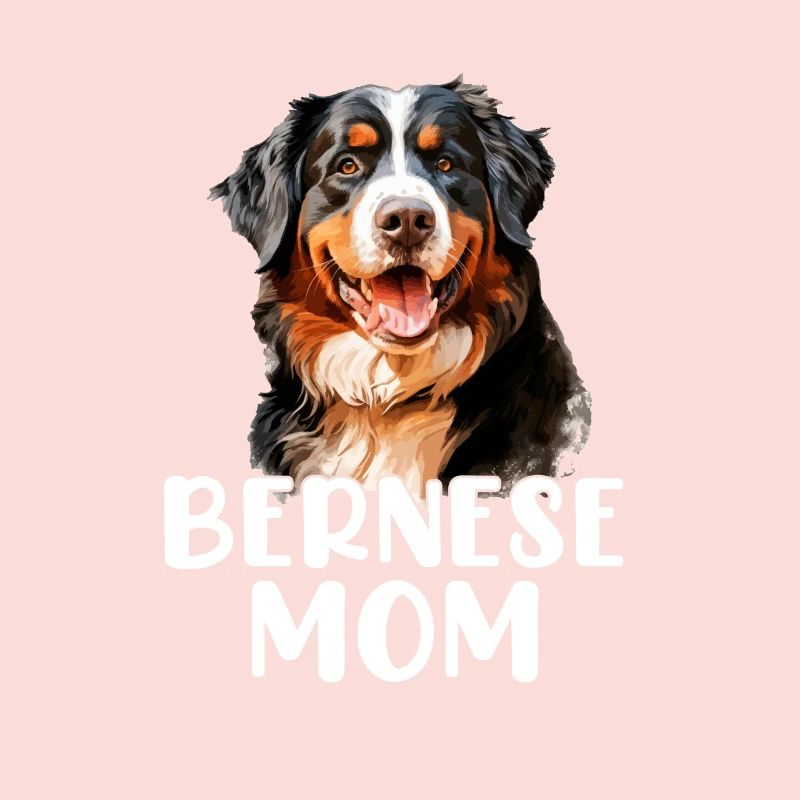 bernese mountain dog