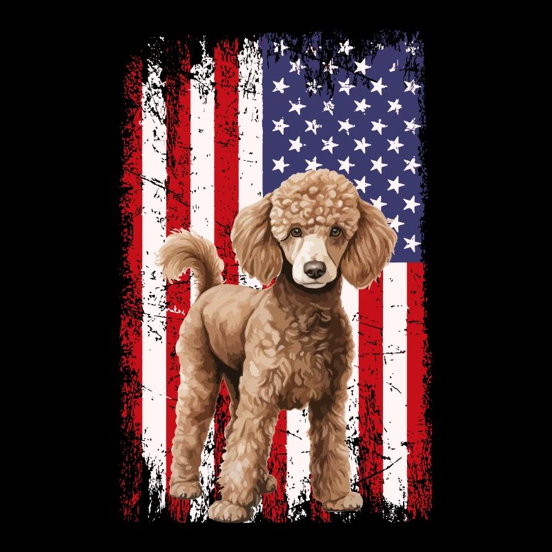 poodle dog
