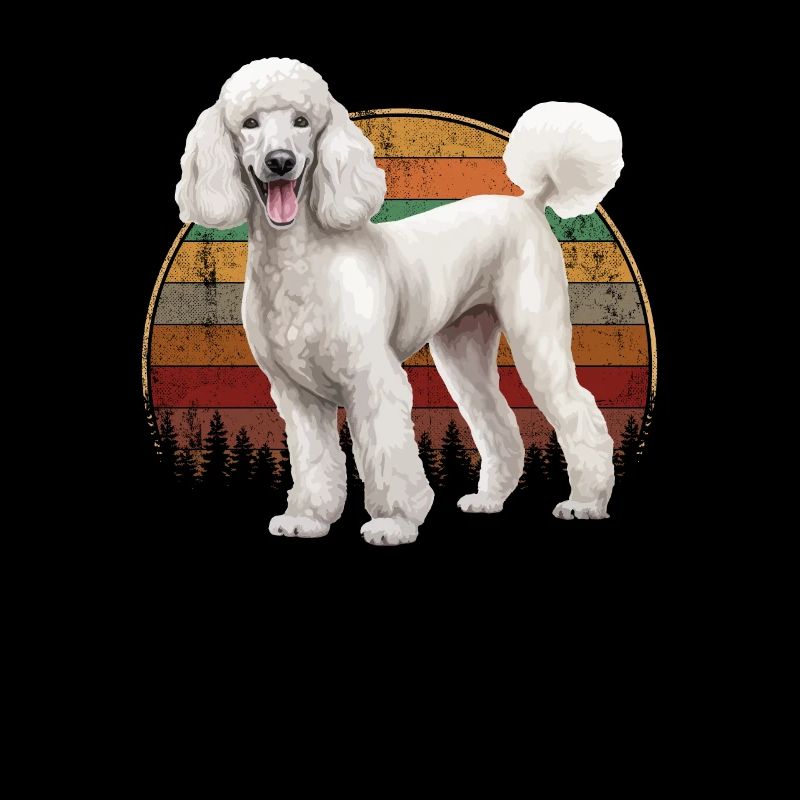 poodle dog