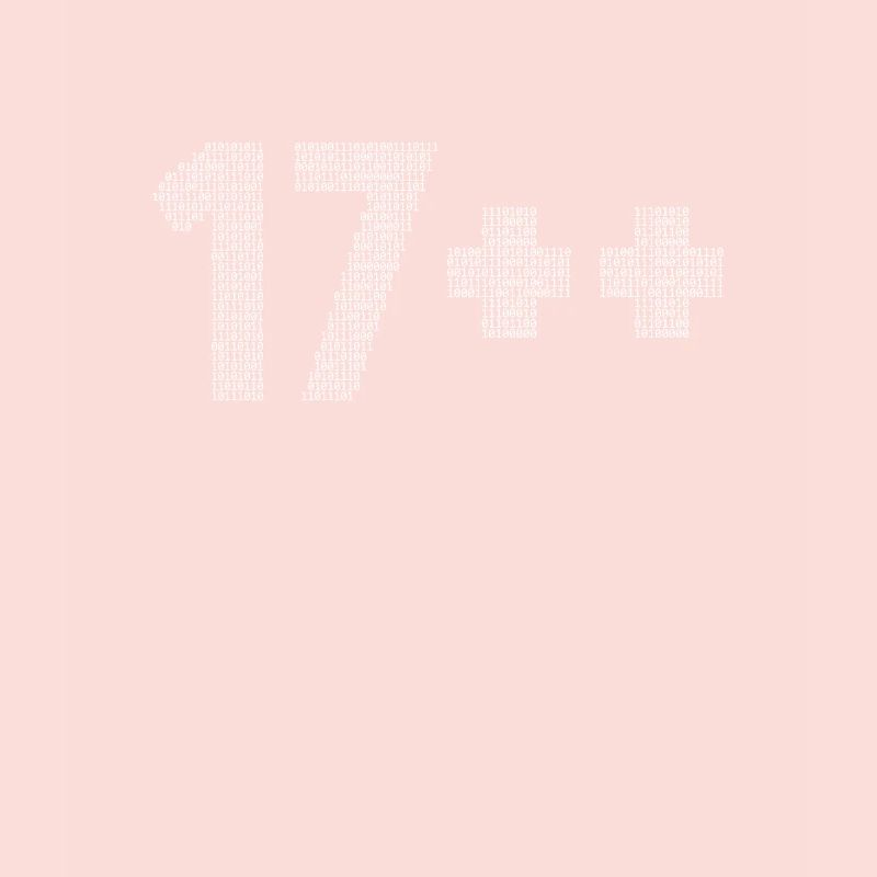 17++ Programmierer Developer Coder 18. Geburtstag