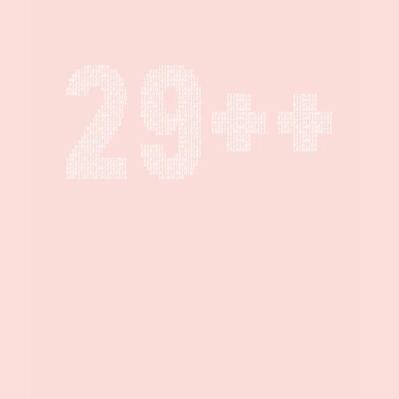 29++ Programmeur, Développeur de logiciels, Codeur 30.