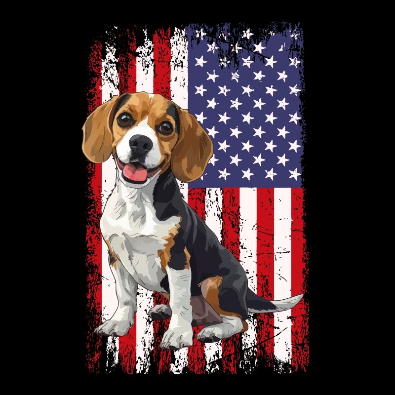 beagle drapeau américain, beagle