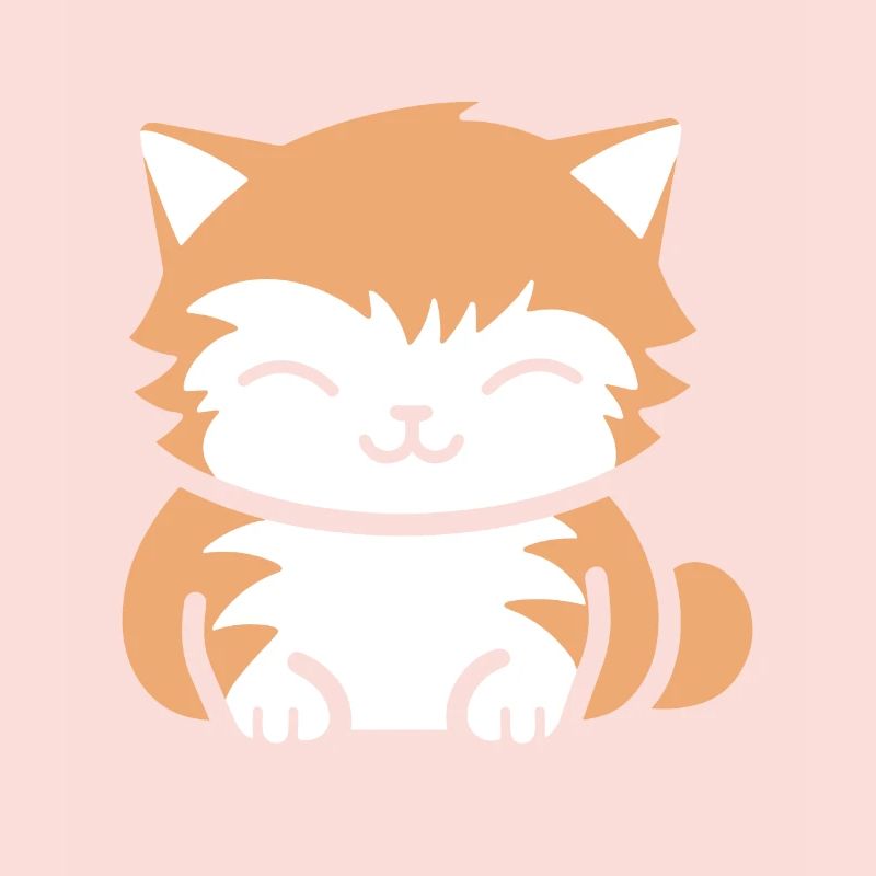Bébé chat