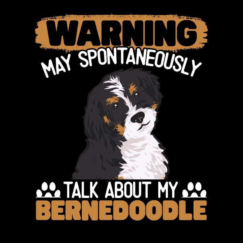 Bernedoodle Hund
