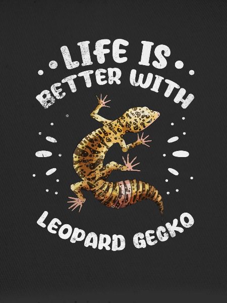 Gecko