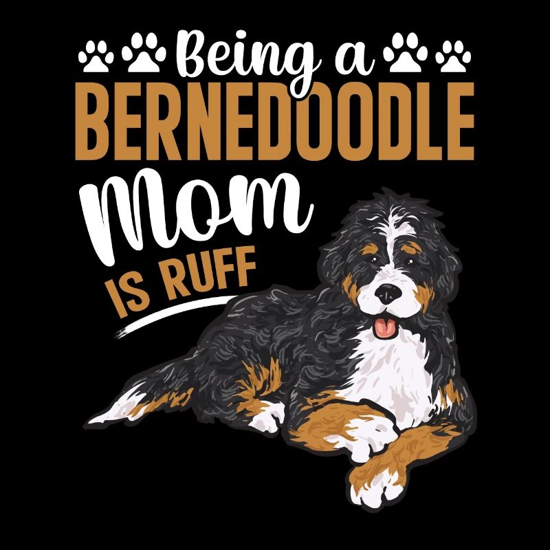 Bernedoodle Hund