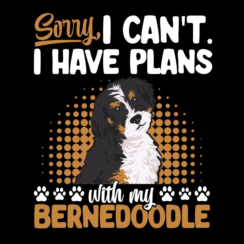 Bernedoodle Hund