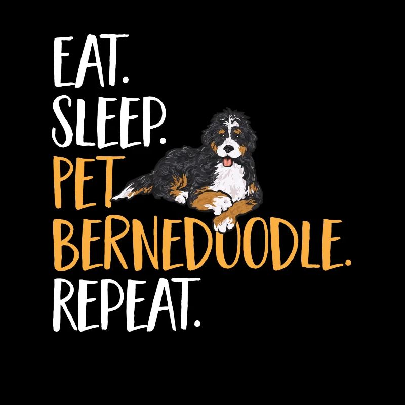 Bernedoodle Hund
