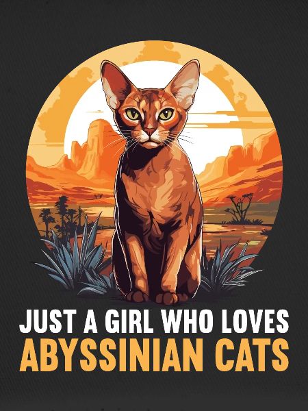 Abyssinian Cat Abessinierkatze