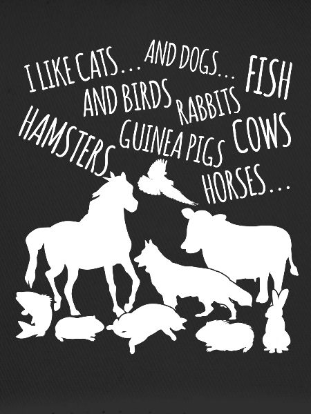 Veterinary Assistant Veterinarian