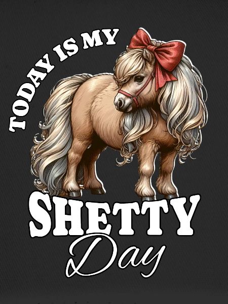 Shetland Pony