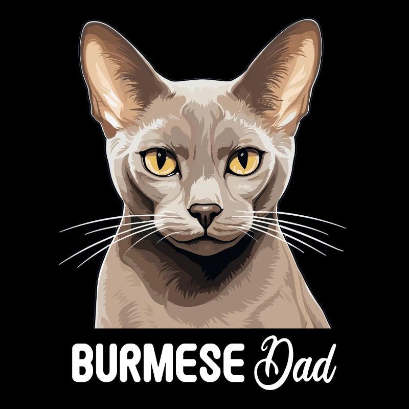 Burmese Cat Burma Katze