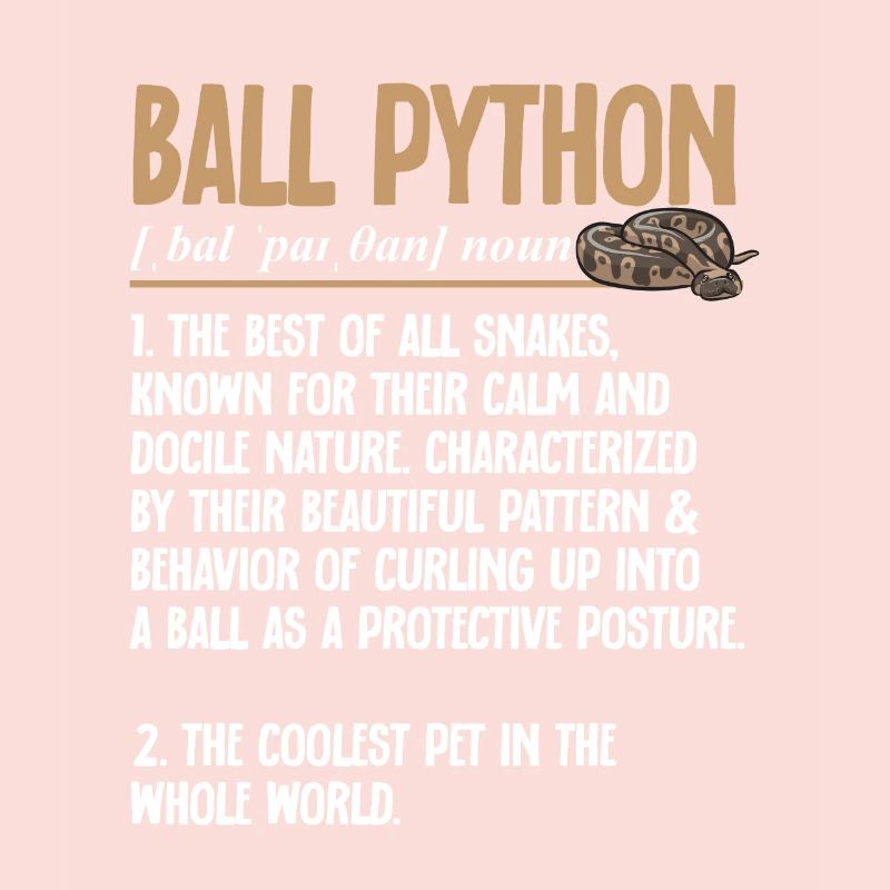 Ball Python Snake King Python