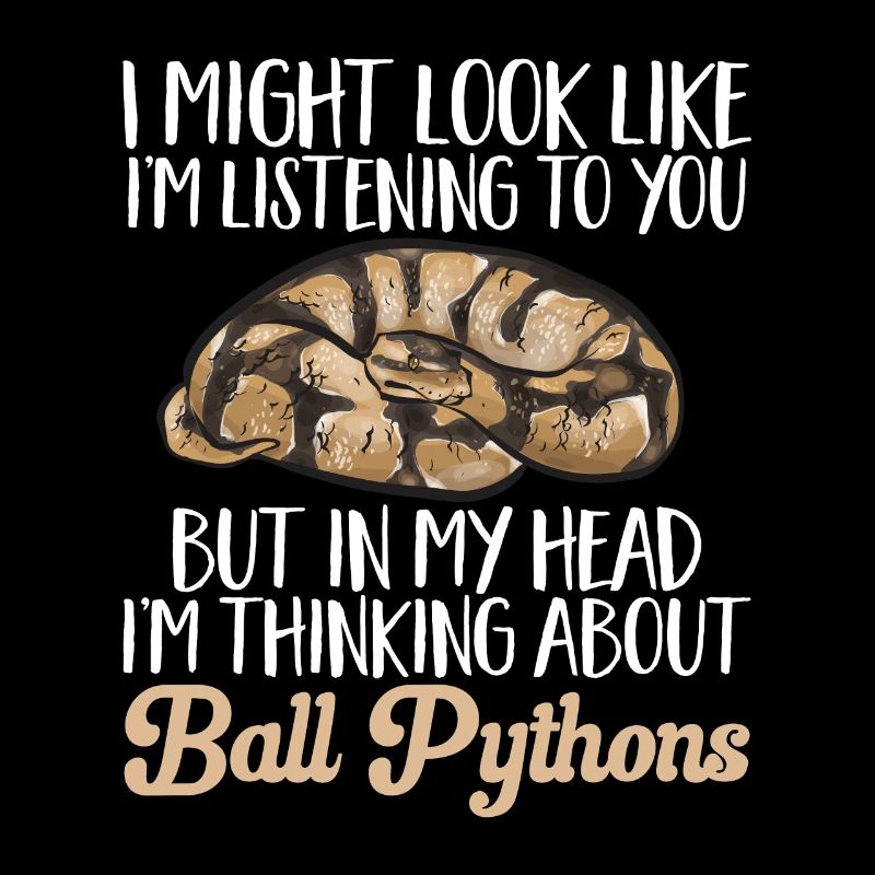 Ball Python Schlange Königspython