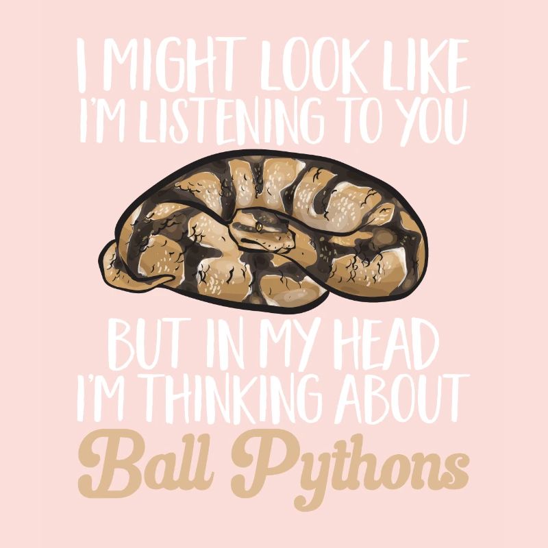 Ball Python Snake King Python