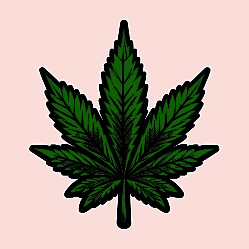 Hanf, Cannabis, Gras, Babak, Bobaz, Cannabisblatt