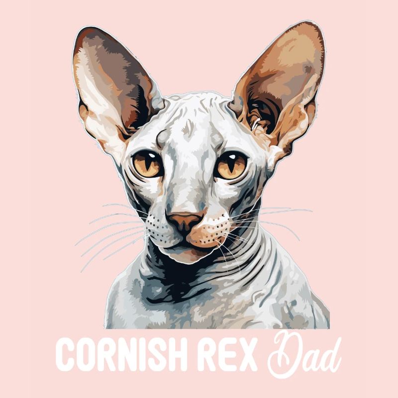 Cornish Rex Kätzchen Cornish Rex Katze