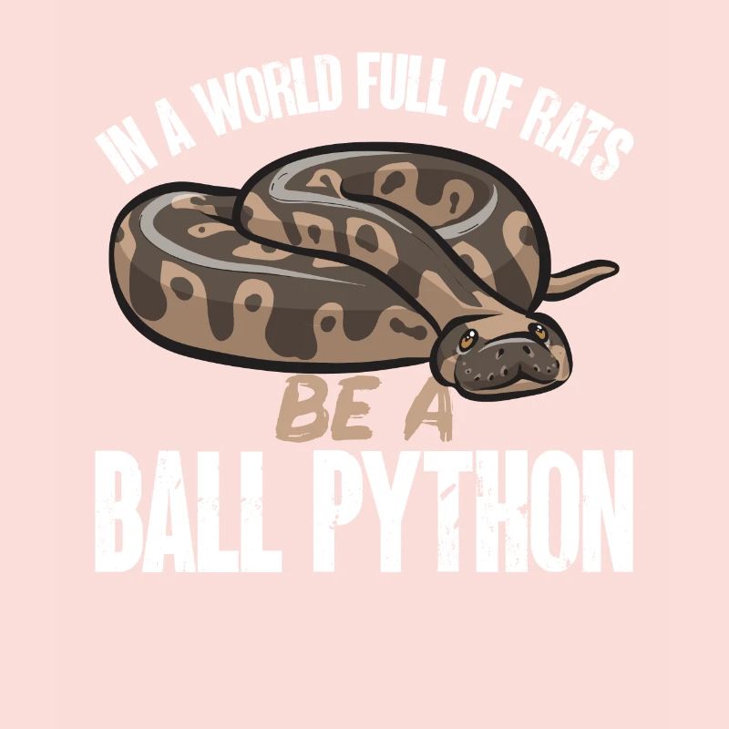 Ball Python Schlange Königspython